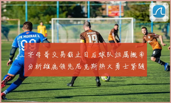 字母哥交易截止日后球队归属概率分析雄鹿领先尼克斯热火勇士紧随其后